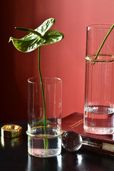 Lantern glass vase