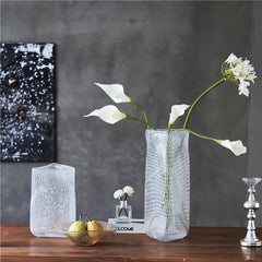 Modern transparent vase