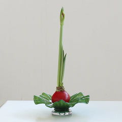 Lotus Leaf Vase