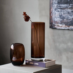 Colored transparent vase