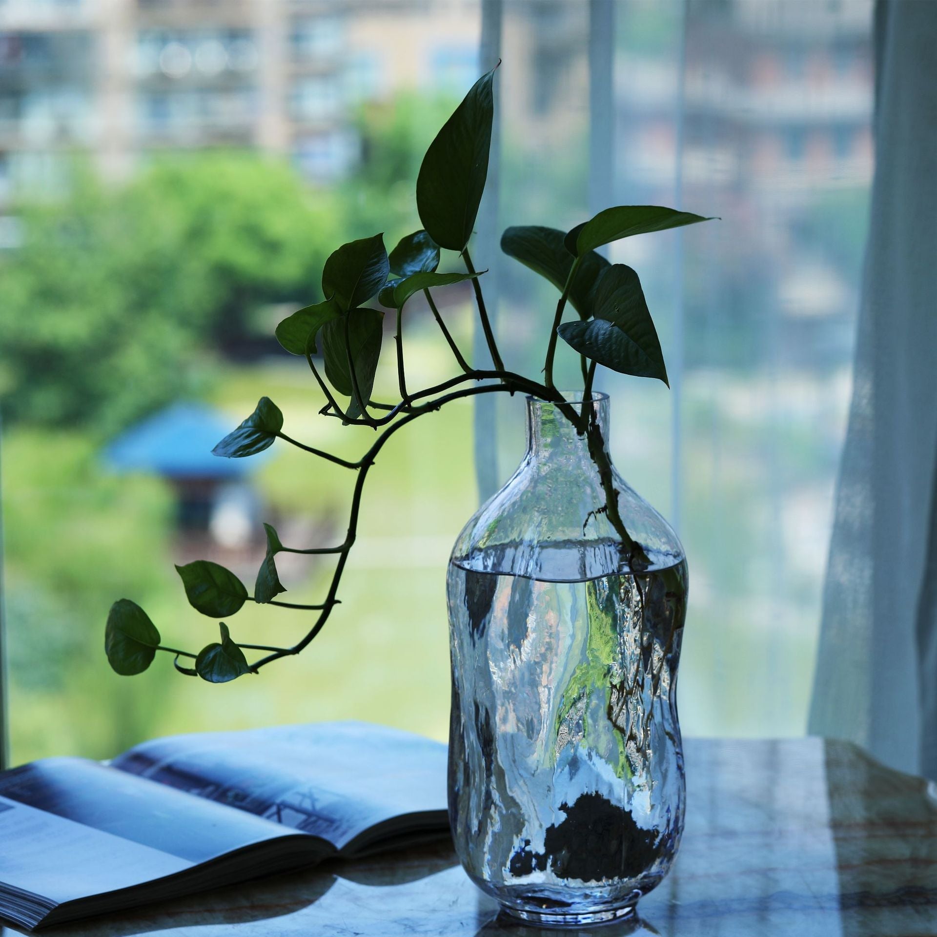 Transparent glass vase